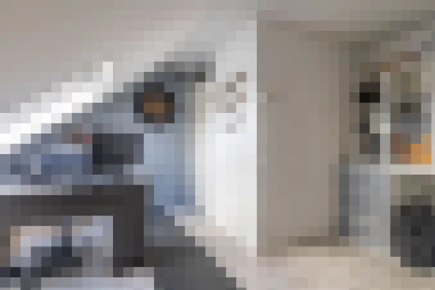 Igor Strawinskystraat 3 Zaandijk thumbnail 48