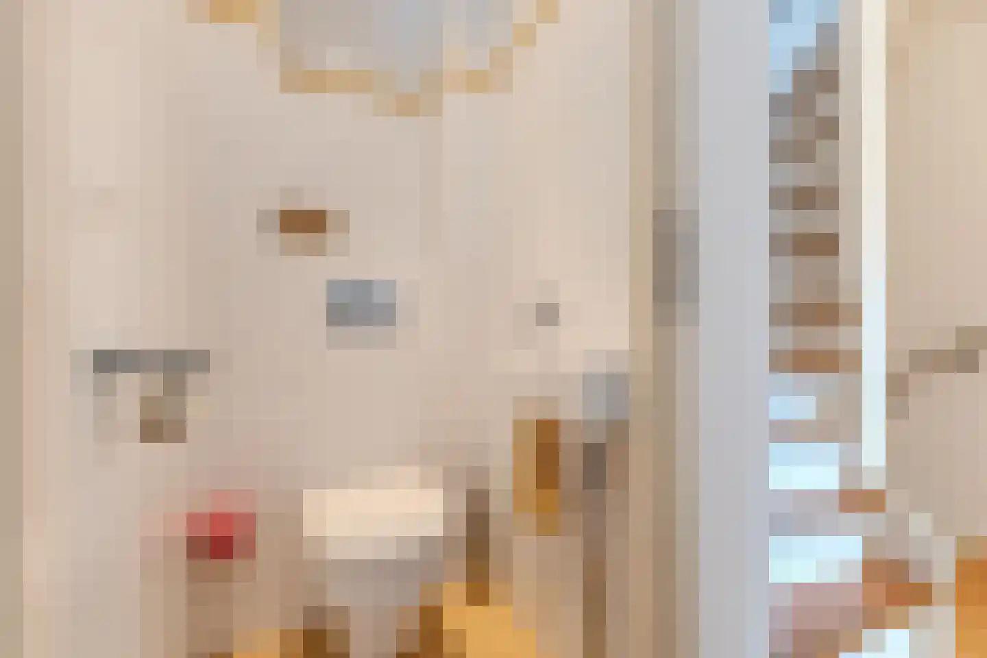 Igor Strawinskystraat 48 Zaandijk thumbnail 16