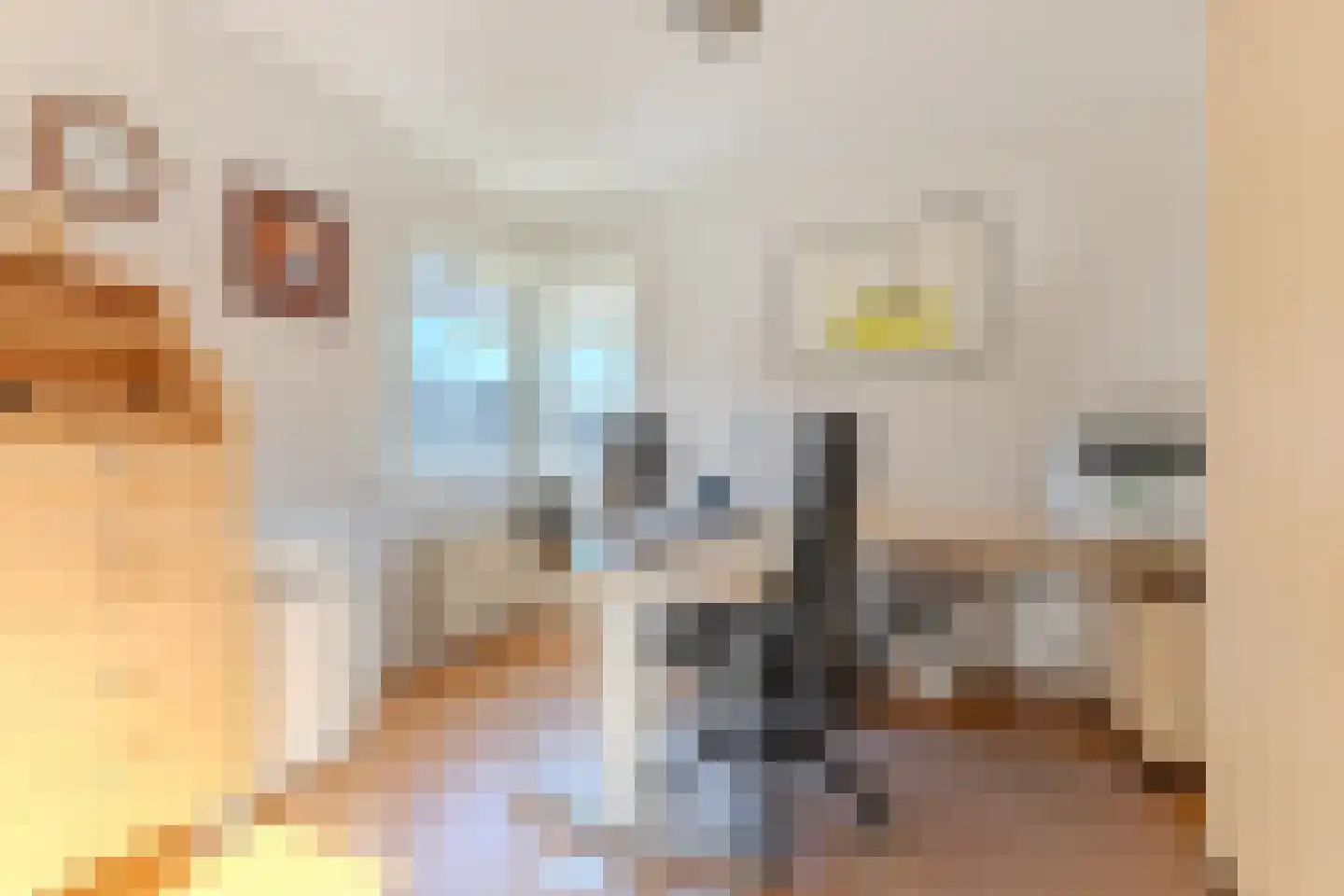 Igor Strawinskystraat 48 Zaandijk thumbnail 20