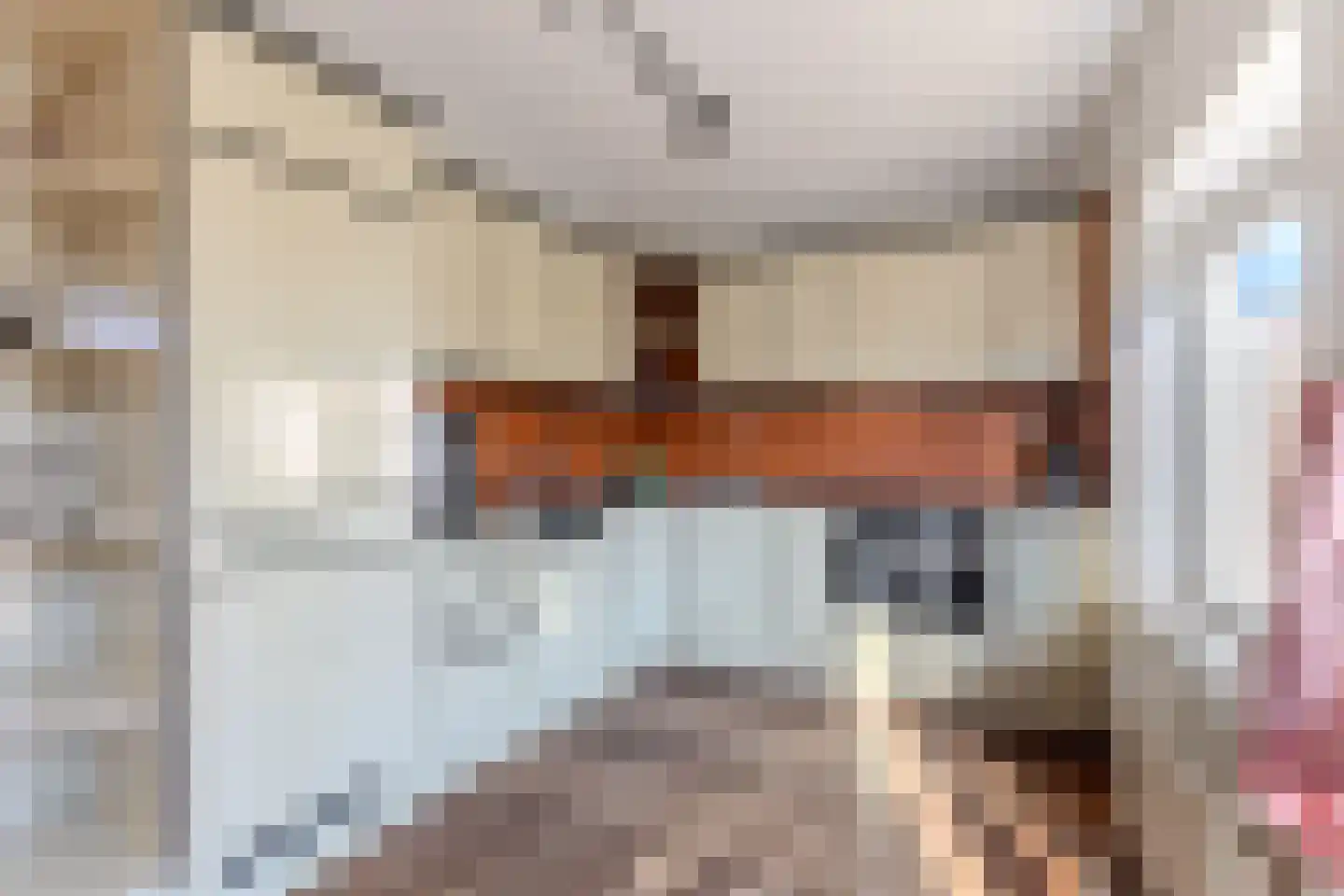 Igor Strawinskystraat 48 Zaandijk thumbnail 8