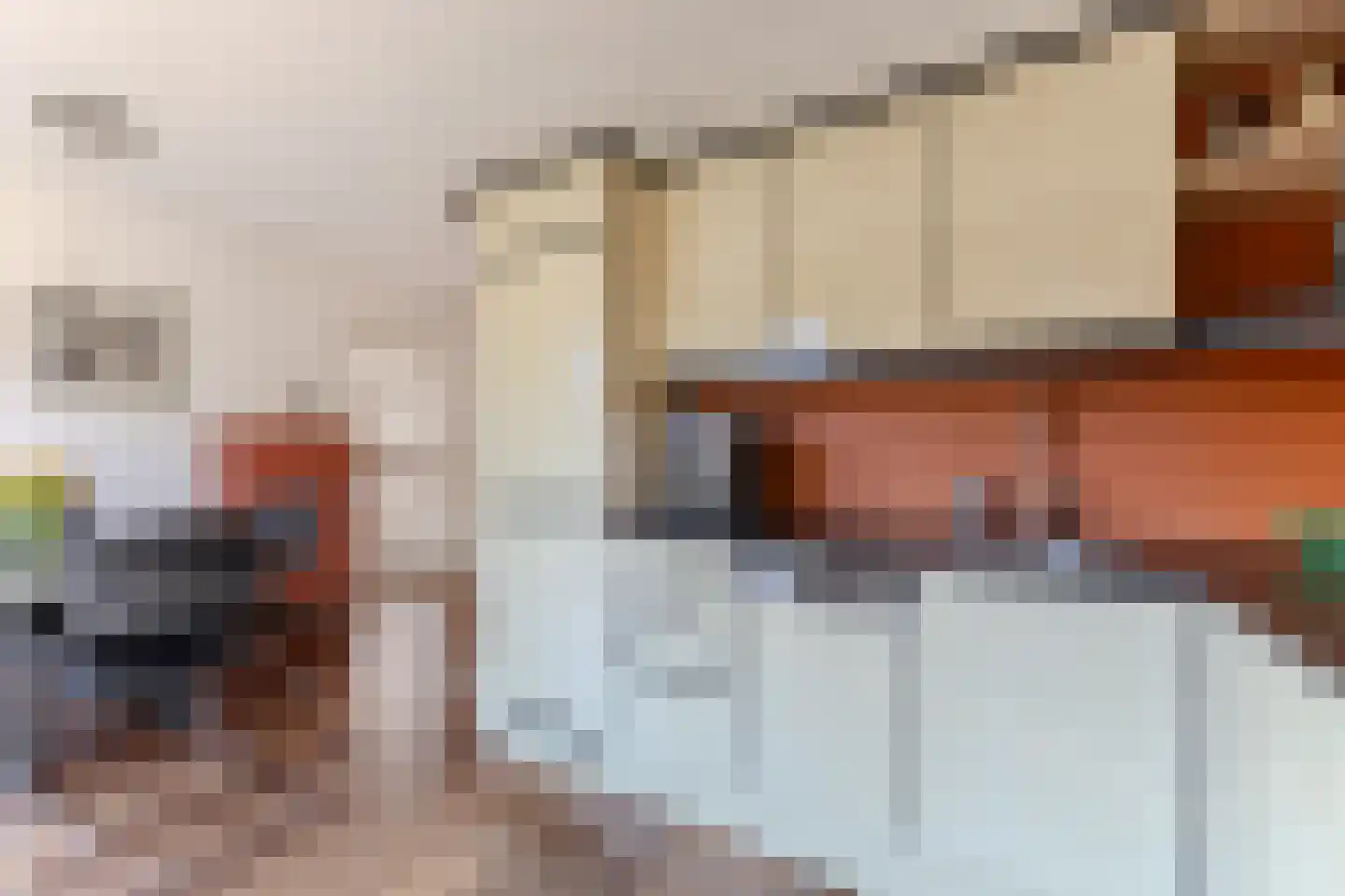 Igor Strawinskystraat 48 Zaandijk thumbnail 9