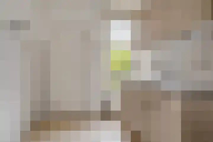 Iikmoune 13 Gorredijk thumbnail 12