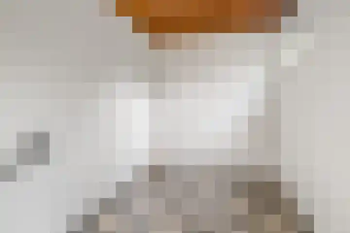 Iikmoune 13 Gorredijk thumbnail 14