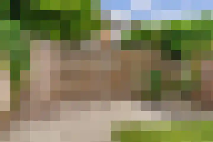 Iikmoune 13 Gorredijk thumbnail 17
