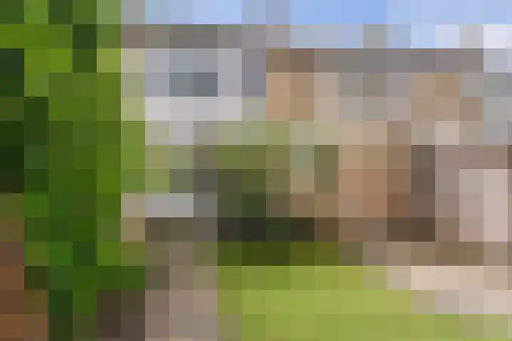 Iikmoune 13 Gorredijk thumbnail 18
