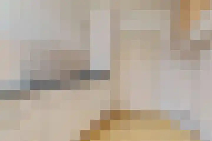 Iikmoune 17 Gorredijk thumbnail 12