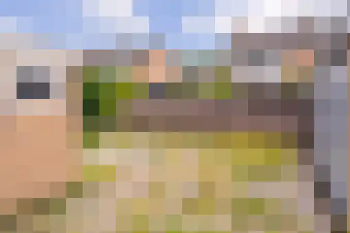 Iikmoune 17 Gorredijk thumbnail 18