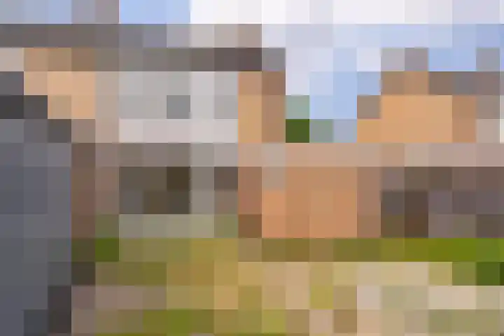 Iikmoune 17 Gorredijk thumbnail 19