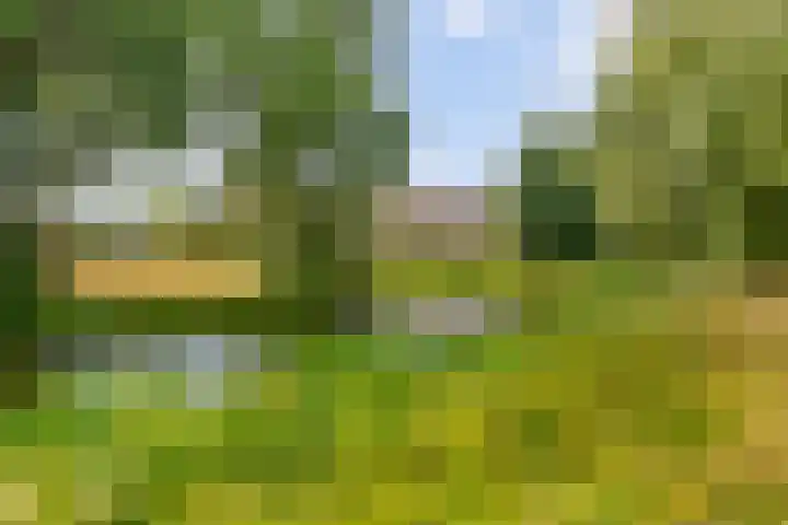 Iikmoune 17 Gorredijk thumbnail 20