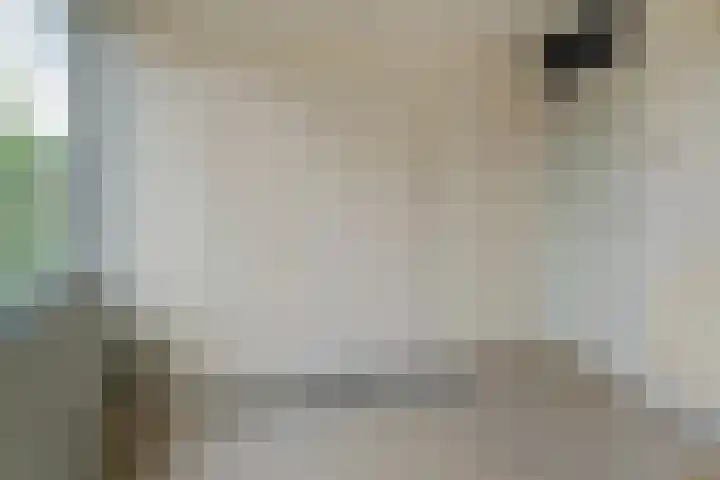 Iikmoune 17 Gorredijk thumbnail 22