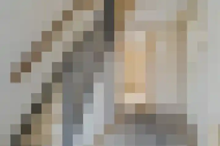 Iikmoune 17 Gorredijk thumbnail 5