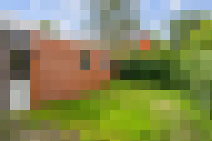 Iikmoune 18 Gorredijk thumbnail 17