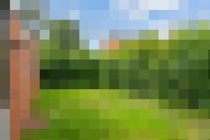 Iikmoune 18 Gorredijk thumbnail 18