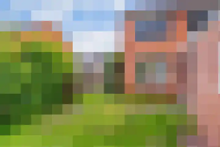 Iikmoune 18 Gorredijk thumbnail 19