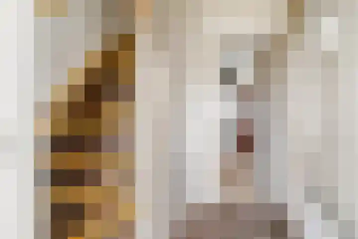Iikmoune 18 Gorredijk thumbnail 5