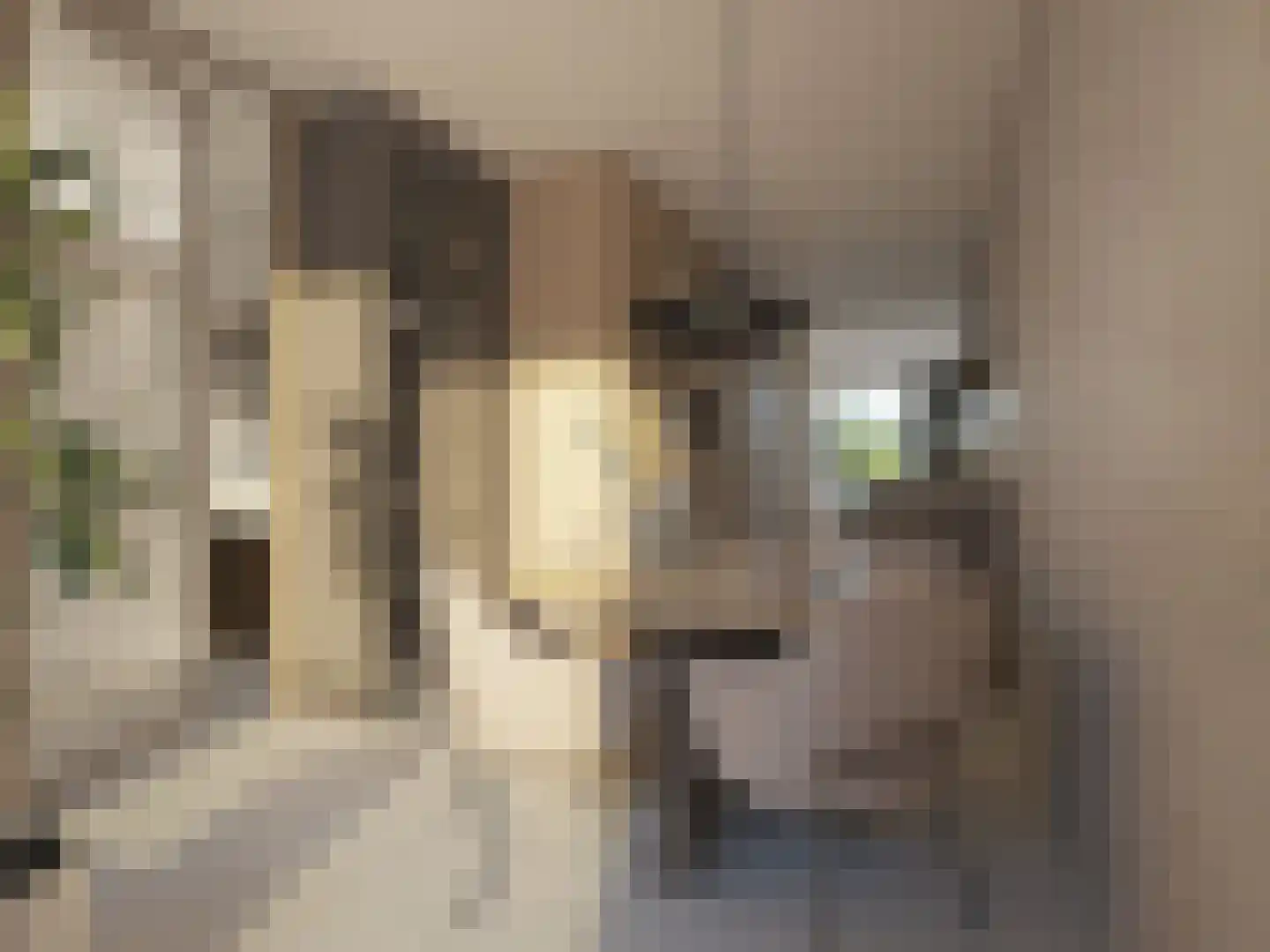 IJ-Boysstraat 63 Amsterdam thumbnail 15