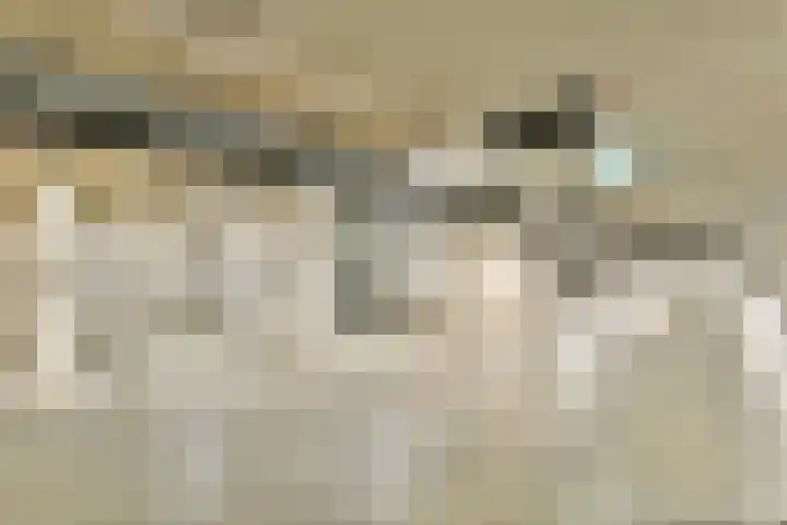IJburglaan 1375 Amsterdam thumbnail 21