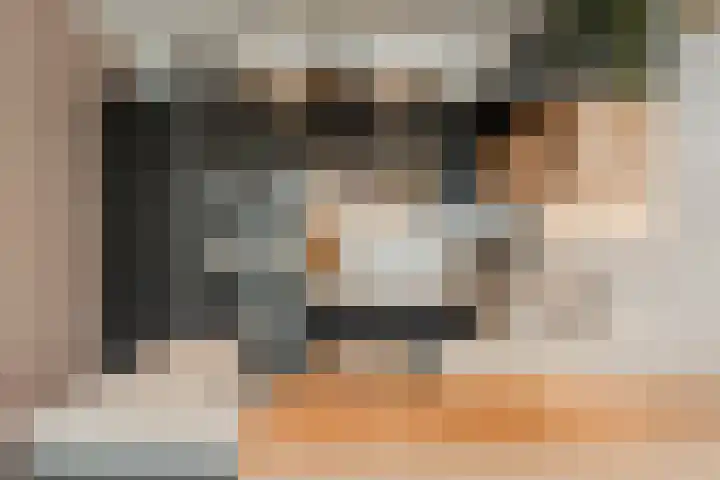 IJburglaan 151 Amsterdam thumbnail 12