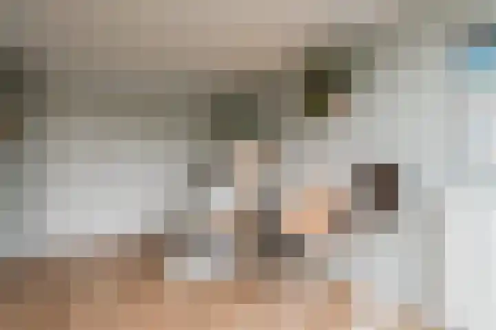 IJburglaan 151 Amsterdam thumbnail 27