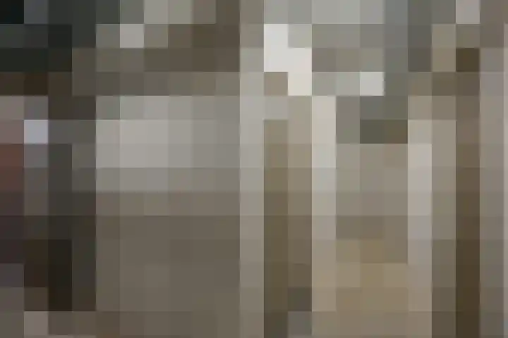 IJburglaan 1514 Amsterdam thumbnail 27