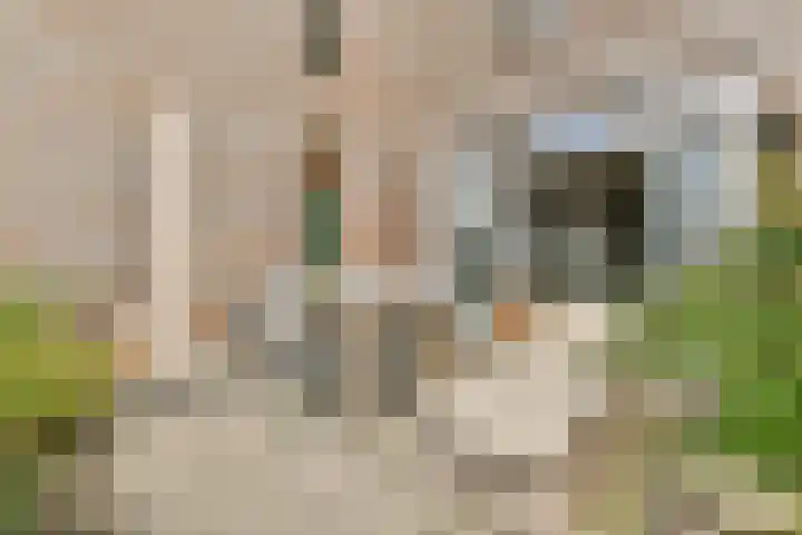 IJburglaan 1526 Amsterdam thumbnail 15