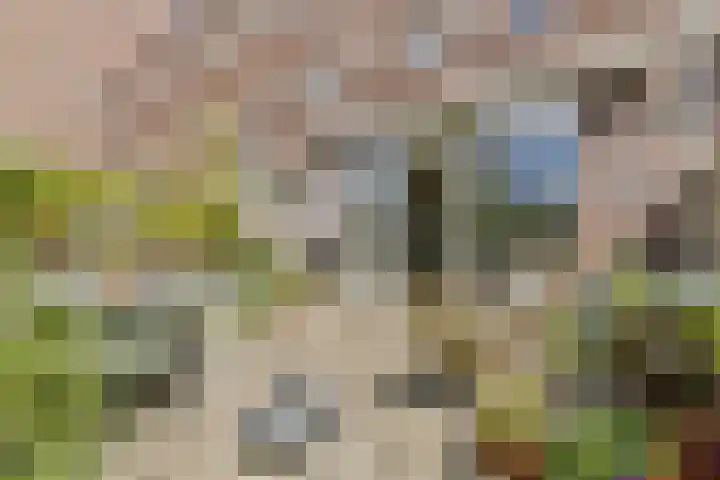 IJburglaan 1534 Amsterdam thumbnail 11