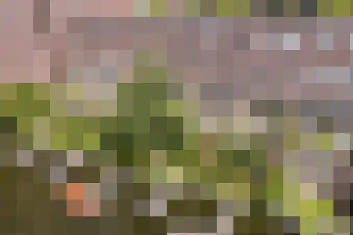 IJburglaan 1534 Amsterdam thumbnail 18