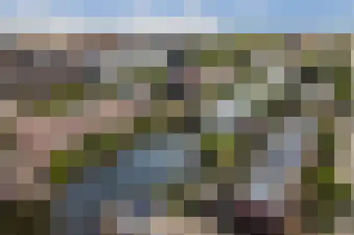 IJburglaan 1534 Amsterdam thumbnail 37