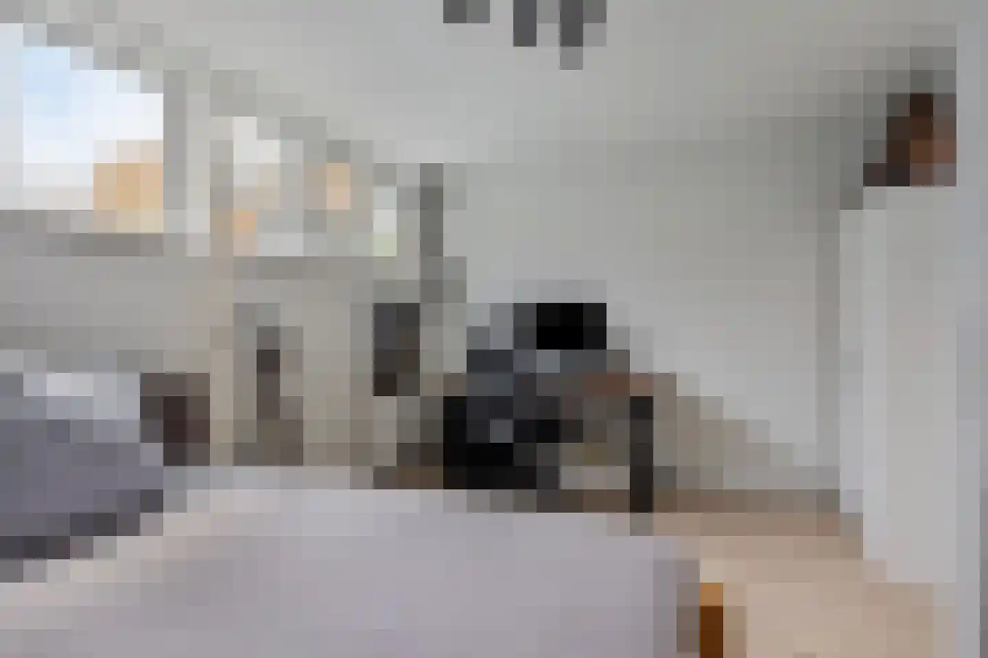 IJburglaan 215 Amsterdam thumbnail 27