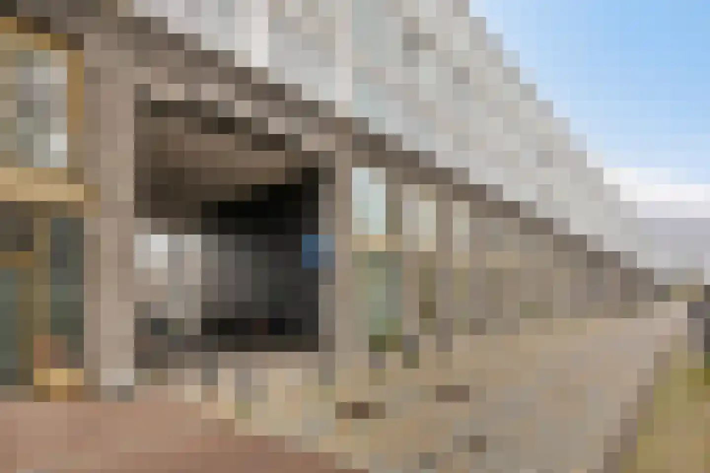 IJburglaan 215 Amsterdam thumbnail 33