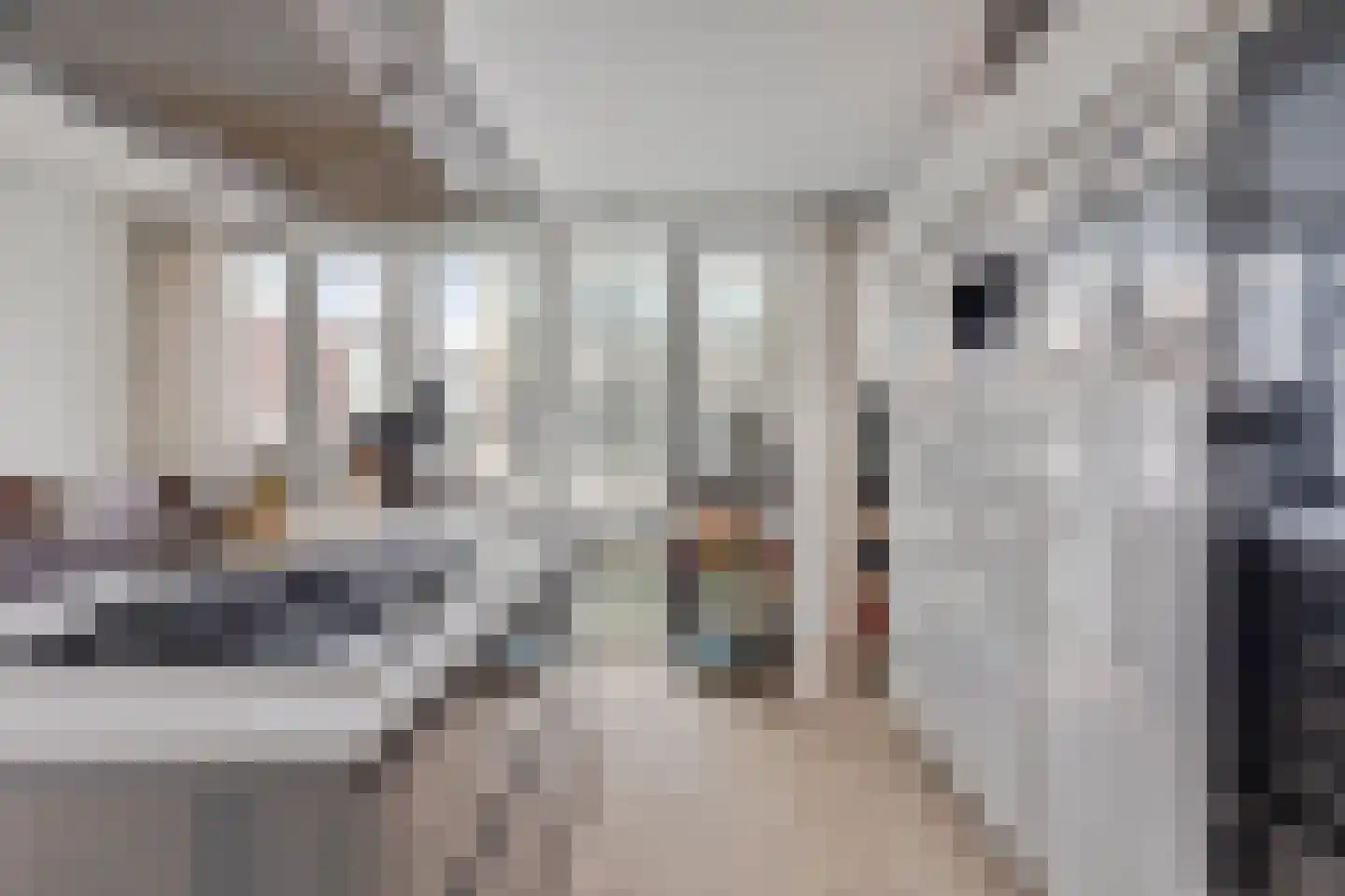 IJburglaan 215 Amsterdam thumbnail 8