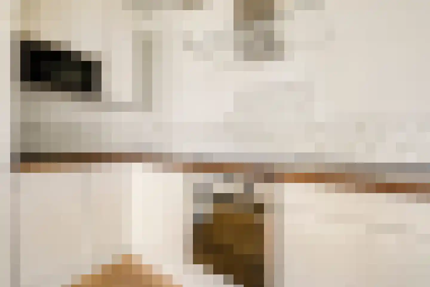 IJburglaan 364 Amsterdam thumbnail 11