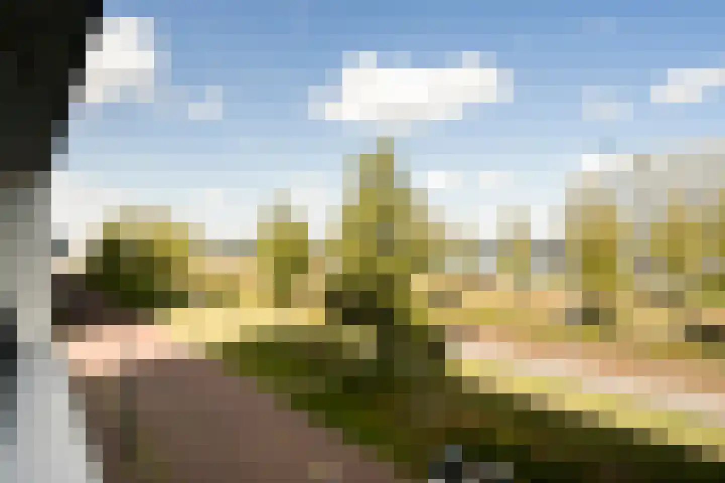 IJburglaan 364 Amsterdam thumbnail 25
