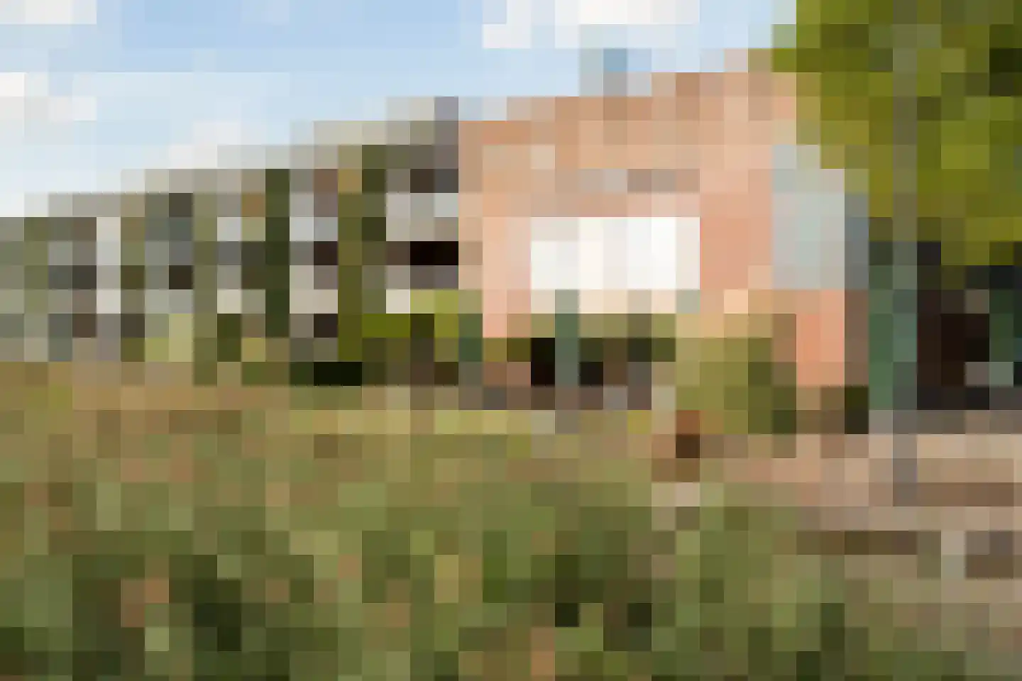 IJburglaan 364 Amsterdam thumbnail 36