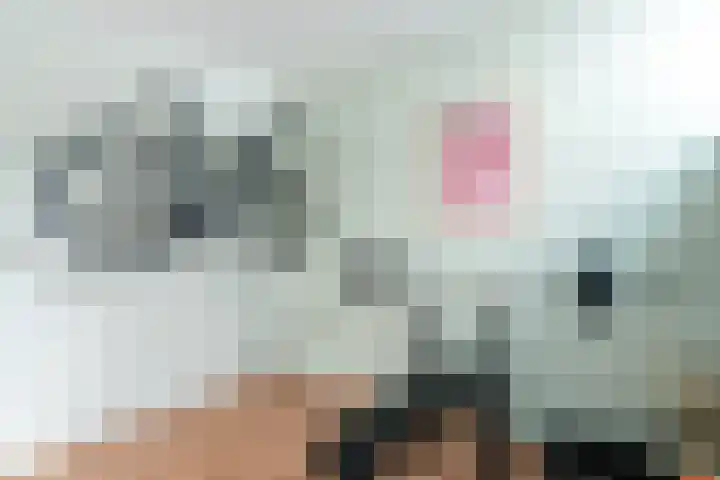 IJburglaan 409 Amsterdam thumbnail 30