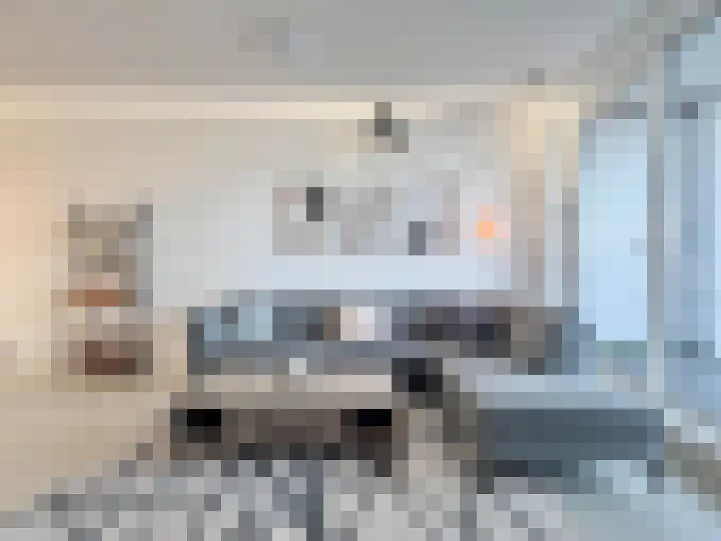 IJburglaan 415 Amsterdam thumbnail 7