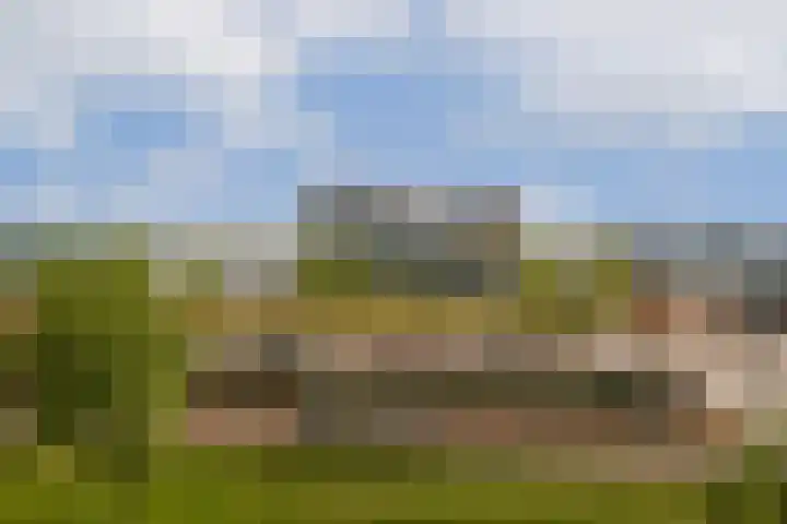 IJburglaan 416 Amsterdam thumbnail 21