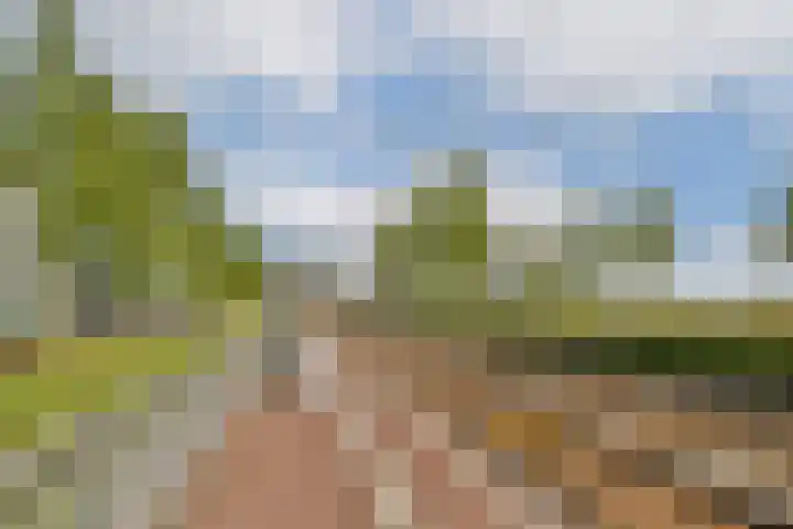 IJburglaan 416 Amsterdam thumbnail 22