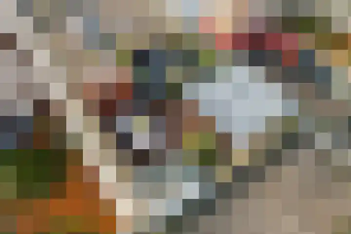 IJburglaan 649 Amsterdam thumbnail 17