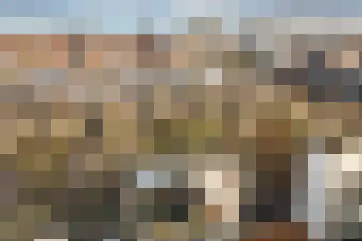 IJburglaan 649 Amsterdam thumbnail 30