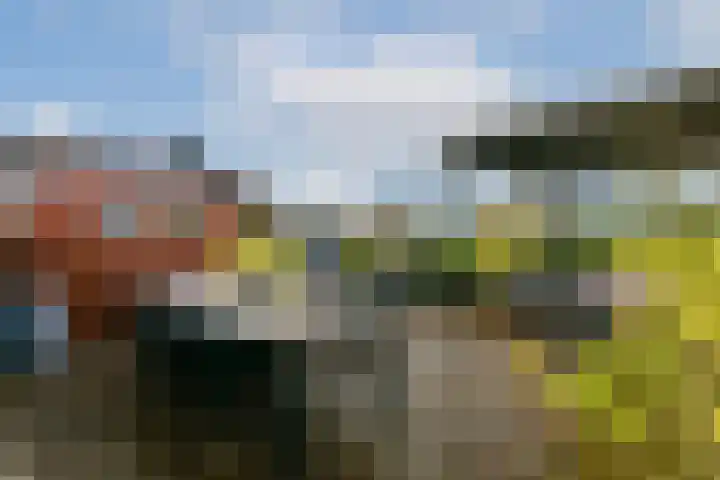 IJburglaan 649 Amsterdam thumbnail 4