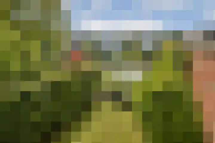 IJburglaan 656 Amsterdam thumbnail 10