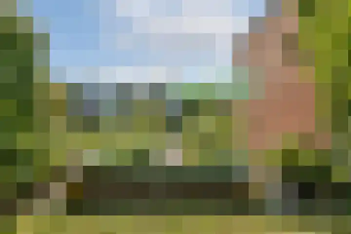 IJburglaan 656 Amsterdam thumbnail 11
