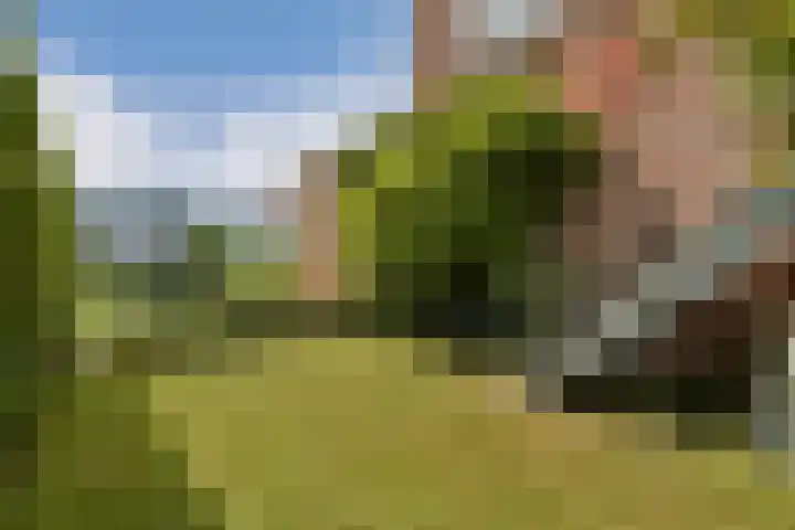 IJburglaan 656 Amsterdam thumbnail 12