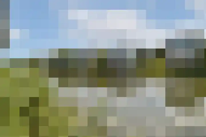 IJburglaan 656 Amsterdam thumbnail 13