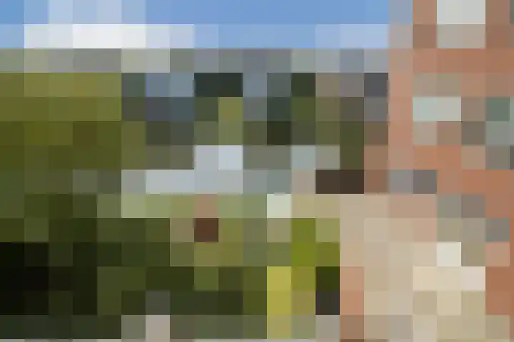 IJburglaan 656 Amsterdam thumbnail 26