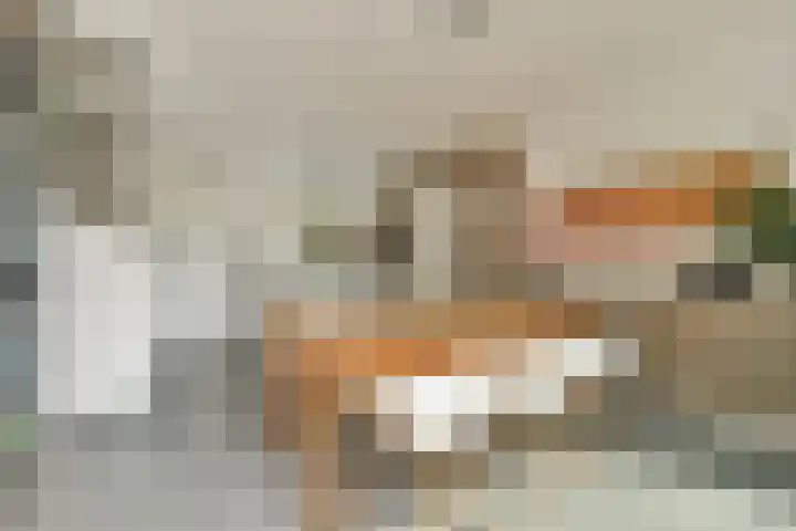 IJburglaan 656 Amsterdam thumbnail 4