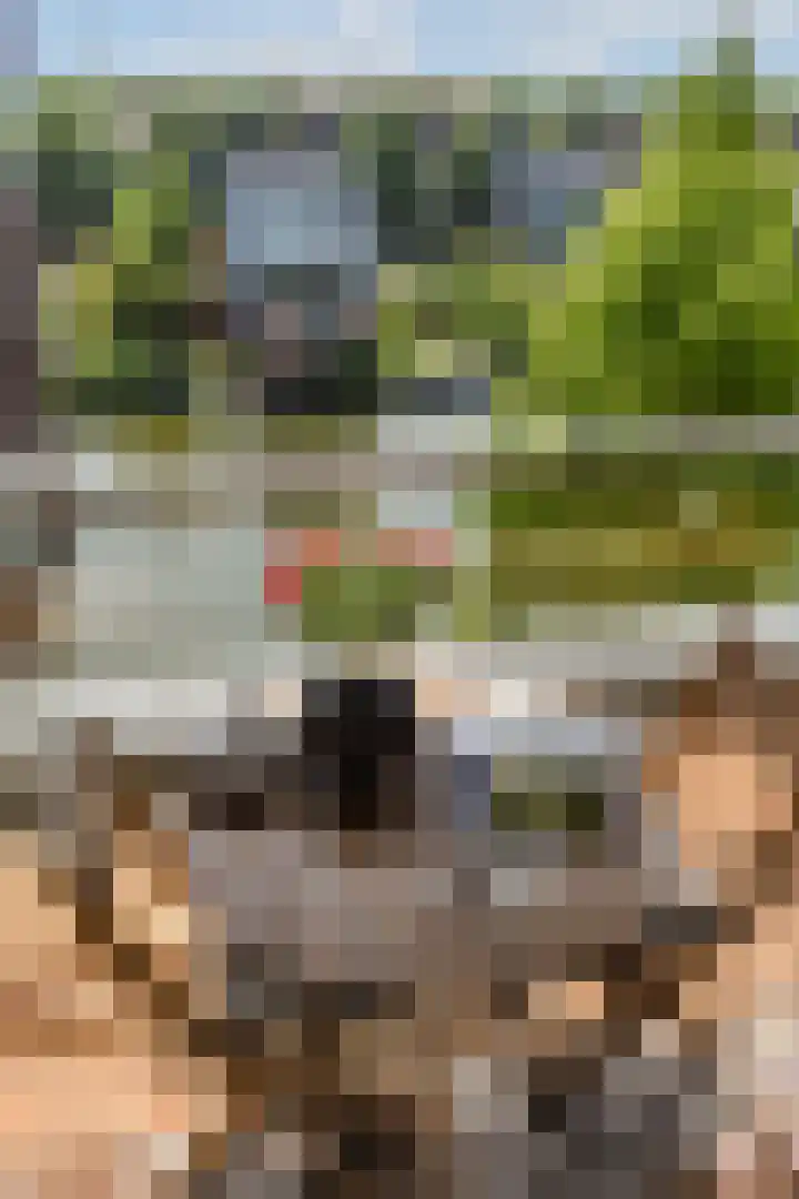 IJburglaan 680 Amsterdam thumbnail 18