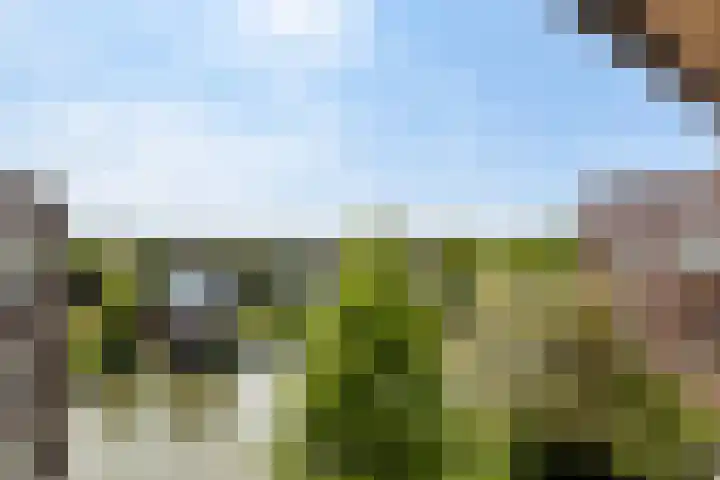 IJburglaan 680 Amsterdam thumbnail 19