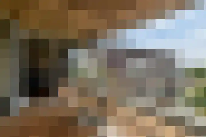 IJburglaan 680 Amsterdam thumbnail 20
